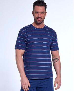 Piżama męska Cornette 338/50 bawełna krótki rękaw spodenki do kolan